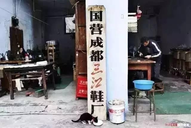 校园舞蹈，绽放青春的小店